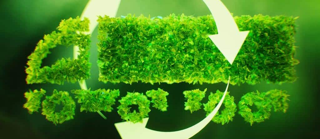 ¿Qué es la logística verde y en qué consiste?