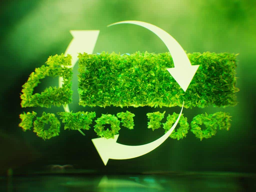 ¿Qué es la logística verde y en qué consiste?